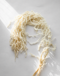 PRESERVED AMARANTHUS CAUDATUS - WHITE, TRAILING BUNCH, 55 CM, 150 GRAMS