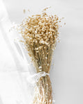 Dried Natural Briza Quaking Grass Bunch — Dried Flowers UK